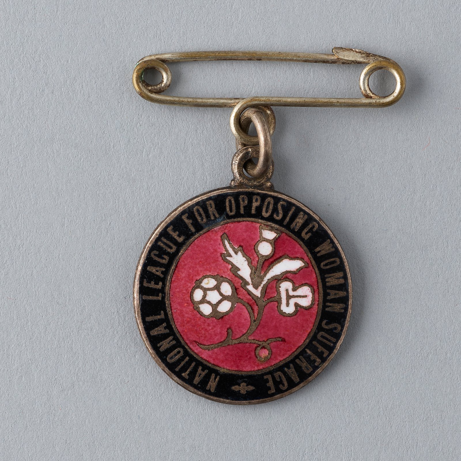 National League for Opposing Woman Suffrage badge
