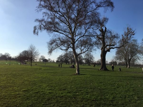 Brockwell Park and Lido – An underrated park