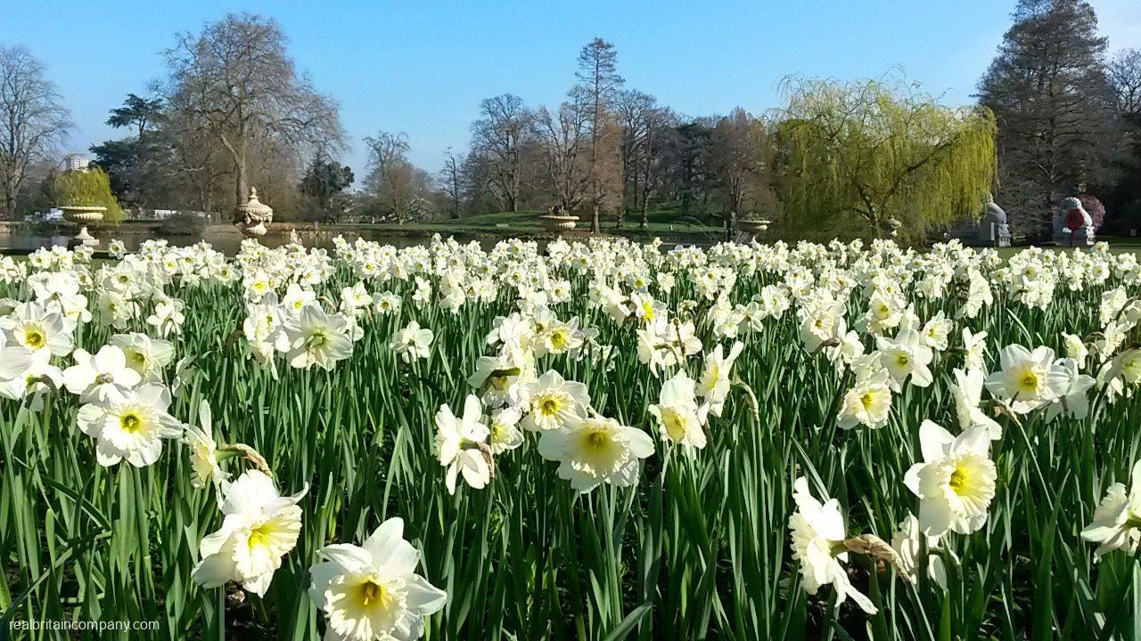 Tips For Visiting Kew Gardens With Kids - The Real Britain Company