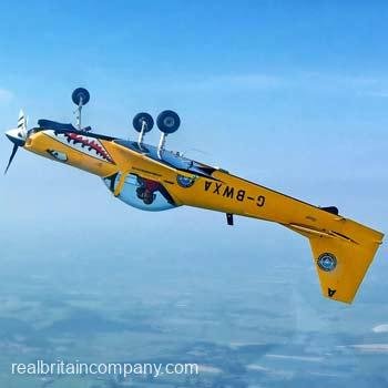 Fly with a Fighter Pilot