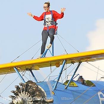 Wing Walking Essex