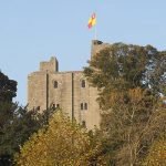 Medieval Falconry at Hedingham Castle