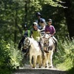 Horse Riding Break Hampshire for Two
