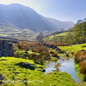 Day Trip to The Lake District | The Real Britain Company