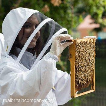 Urban Beekeeping & Craft Beer Tasting
