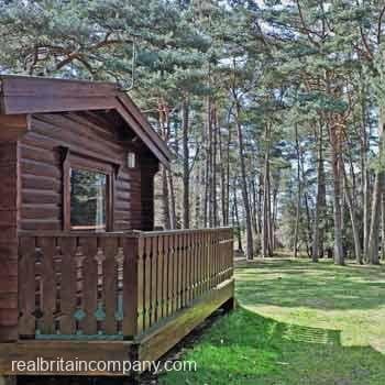 Two Night New Forest Lodge Break for Six