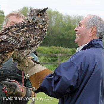 Nationwide Falconry Offer