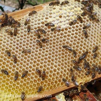 Bee Keeping in Kent - The Real Britain Company