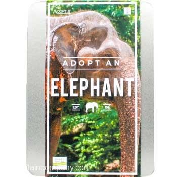 Adopt an Elephant