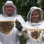 Bee Experience Lancashire