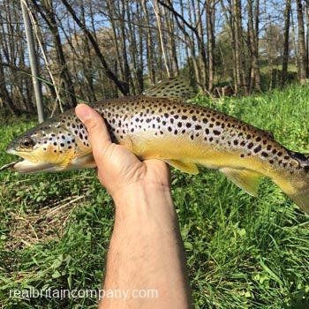 Fly Fishing at The Cowdray Estate