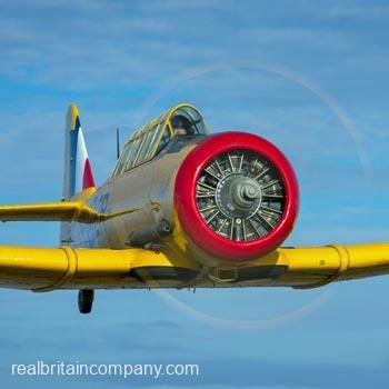 Harvard Flight Duxford