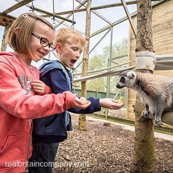 Junior Zoo Keeper for Two Shropshire