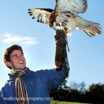 Birds of Prey Experience