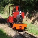Drive a Train at Sherwood Forest