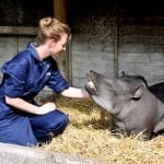 Zoo Keeper for a Day at Drayton Manor Park