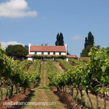 Tour Tasting and Lunch for Two