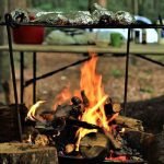 Foraging and Cookery Course