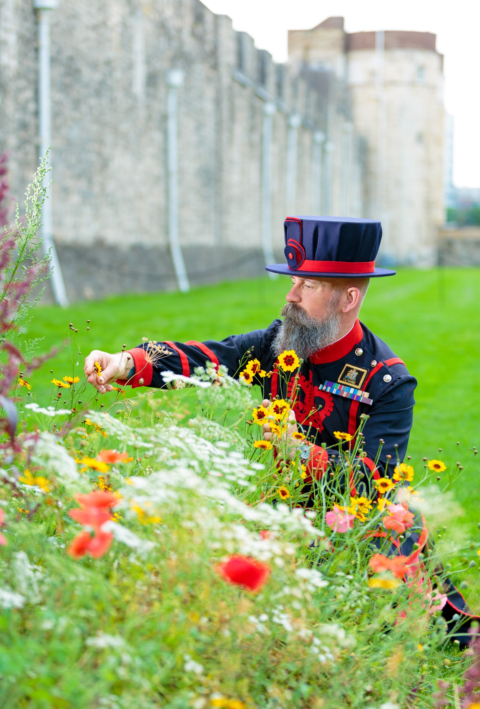 The field of flowers will celebrate the Queen's Platinum Jubilee 