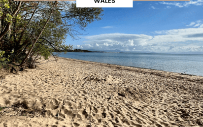 Llanbedrog Beach: Tips for visiting my favourite beach on the Llyn Peninsula