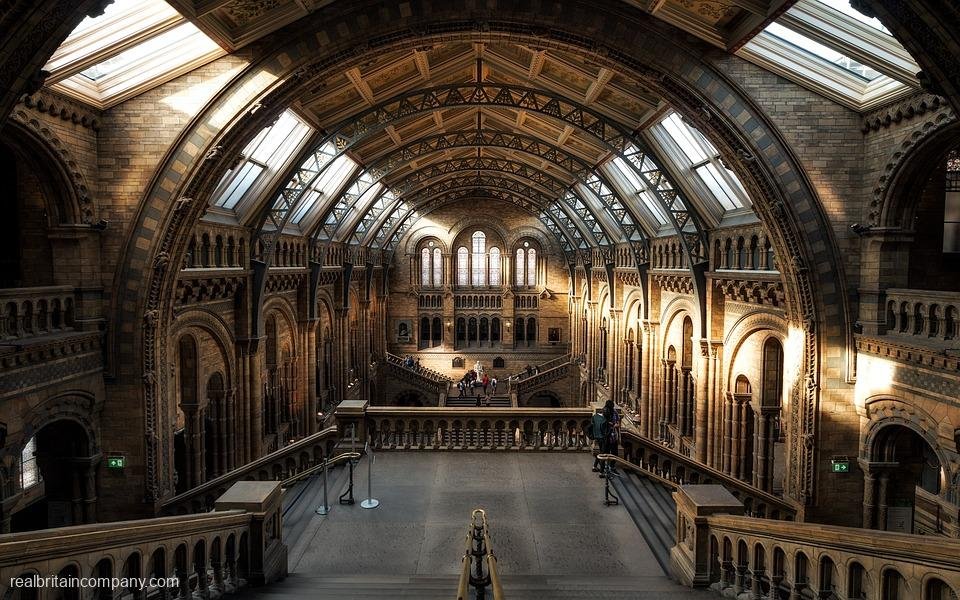 A Traveler’s Guide to the Best Museums in the United Kingdom