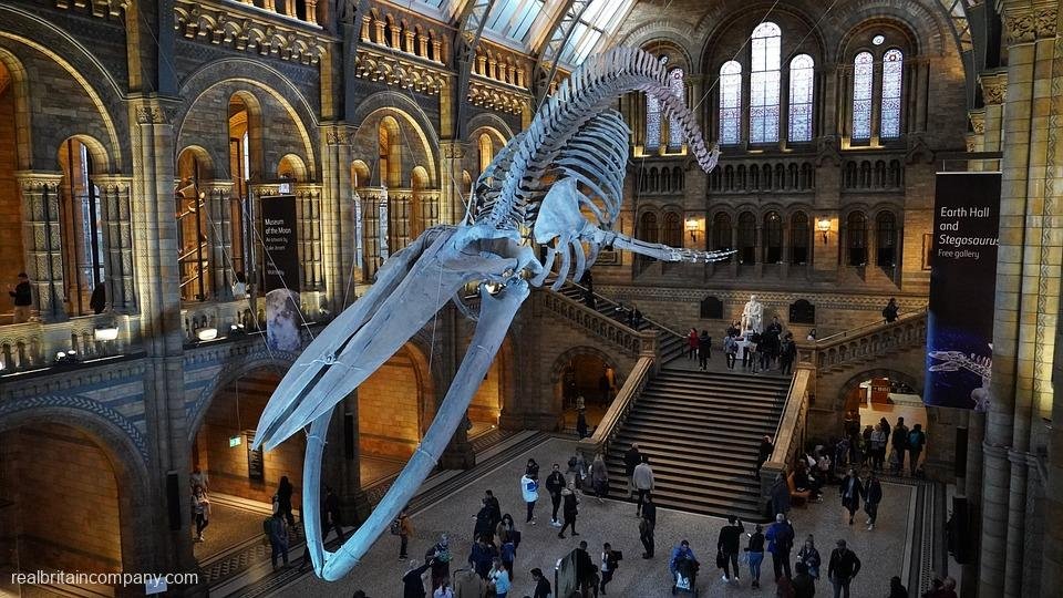 Top 10 Must-Visit Museums in the UK for Every History Buff