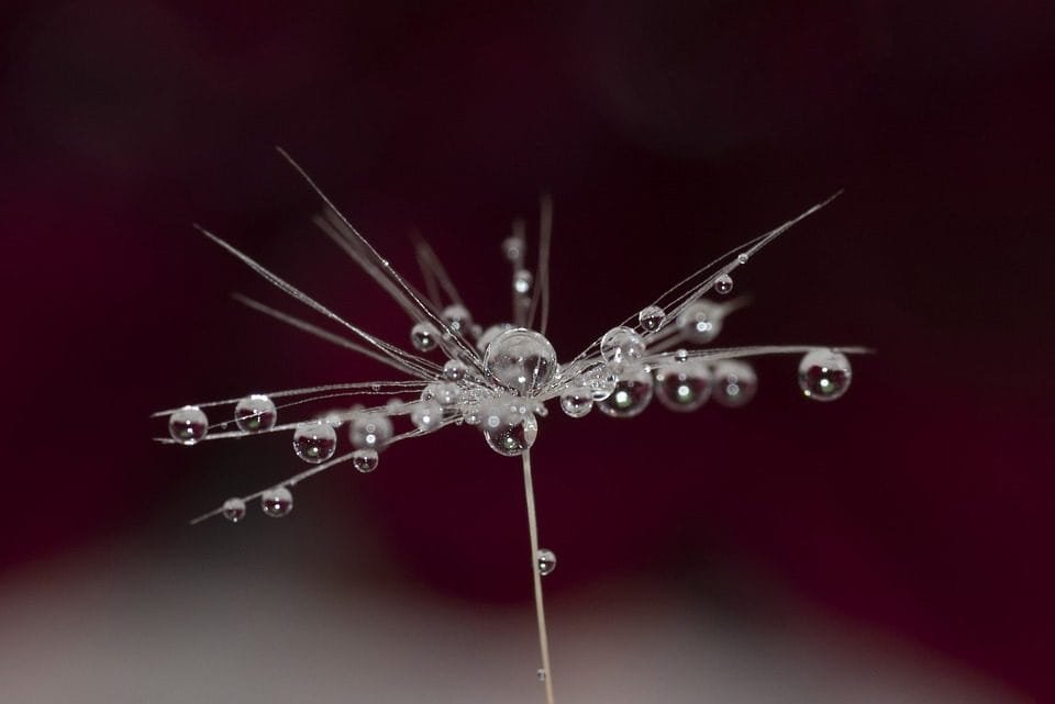 From Dinosaurs to Space: The UK Museums for Science Enthusiasts